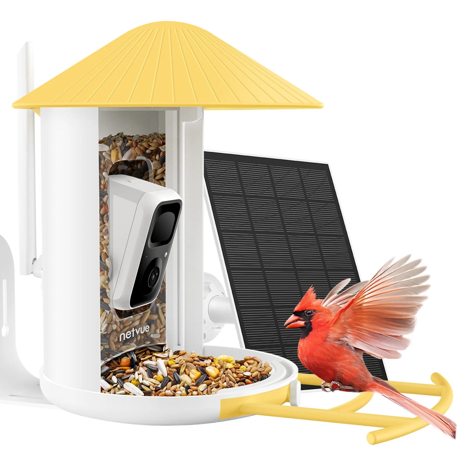 Netvue Birdfy Outdoor Smart Bird Watching Camera with Solar Panel, Yellow(Lite)
