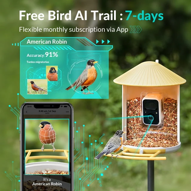 Netvue Birdfy Outdoor Smart Bird Watching Camera with Solar Panel, Yellow(Lite) - Image 2