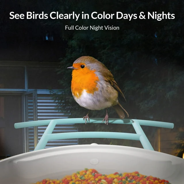 Netvue Birdfy Smart Bird Feeder Camera with Solar Panel for Outdoor Bird Watching - Image 4