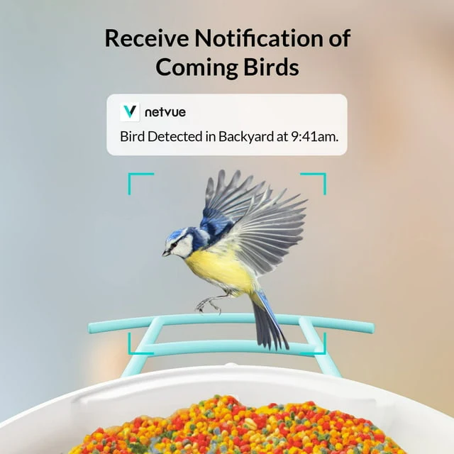 Netvue Birdfy Smart Bird Feeder Camera with Solar Panel for Outdoor Bird Watching - Image 5