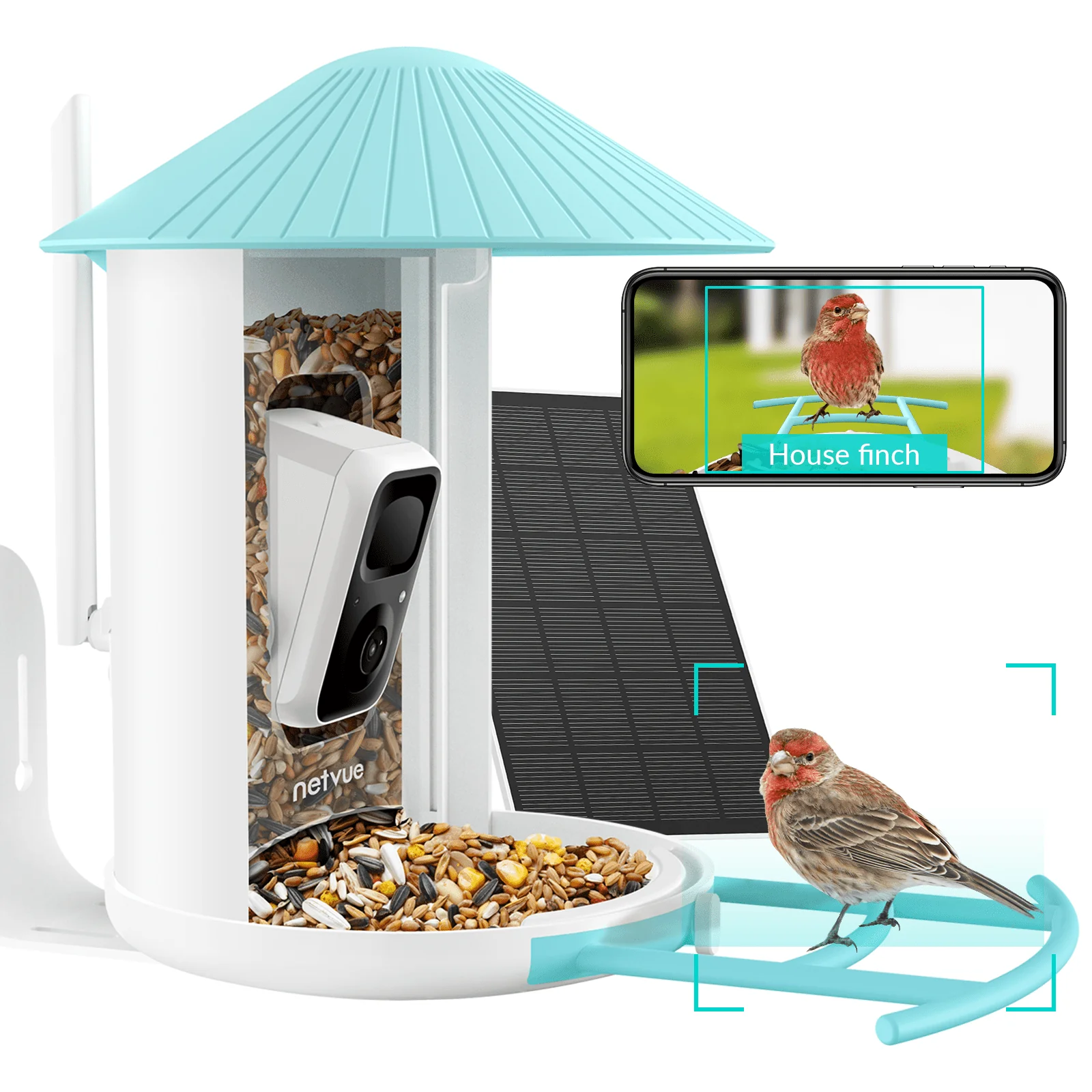 Netvue Birdfy Smart Bird Feeder with Free AI for Bird Watching - Image 2
