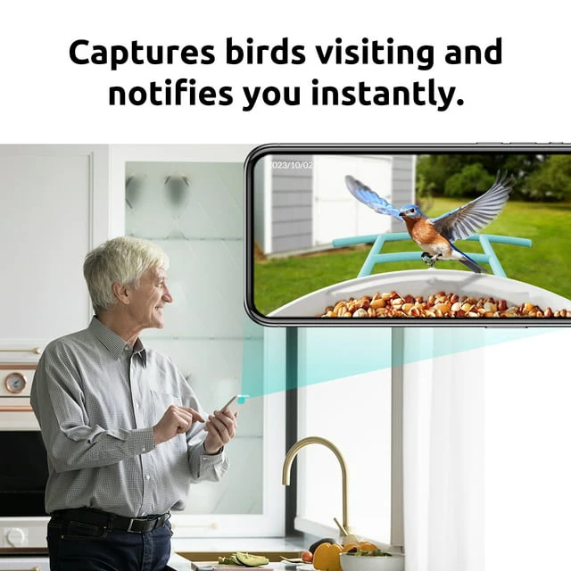 Netvue Birdfy Smart Bird Feeder with Free AI for Bird Watching - Image 8