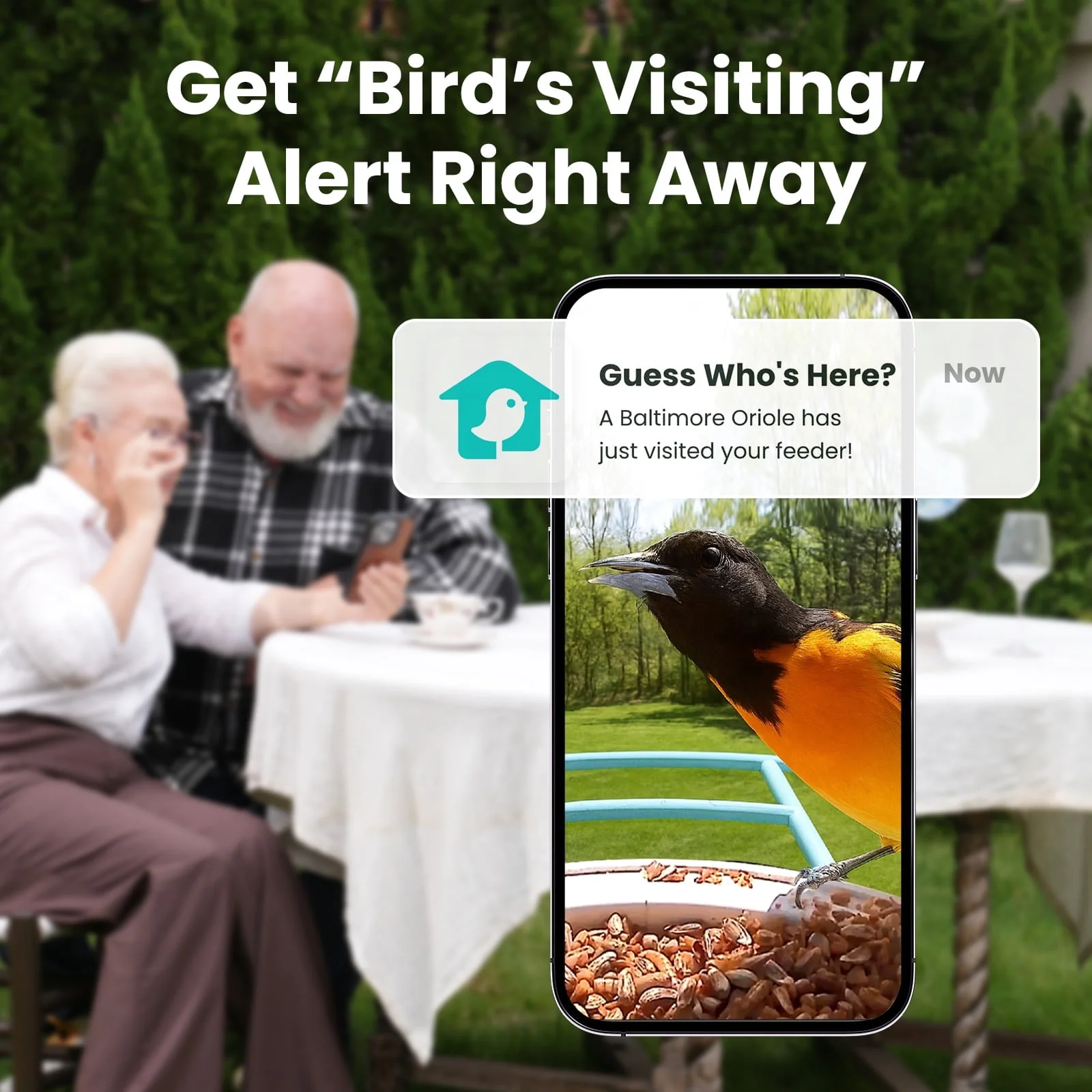 NETVUE Birdfy Smart Bird Watching Cameras Wireless Camera Solar Powered - Image 4