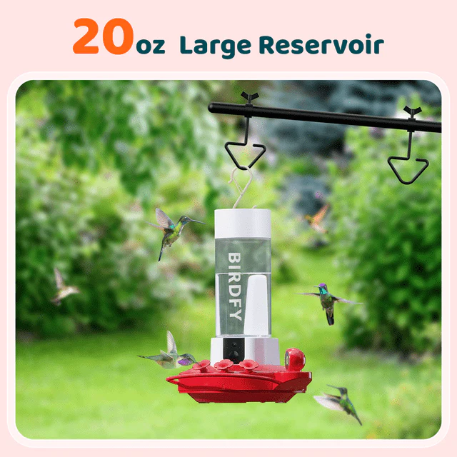 Netvue Birdfy Smart Hummingbirds Feeder with AI Camera - Image 5