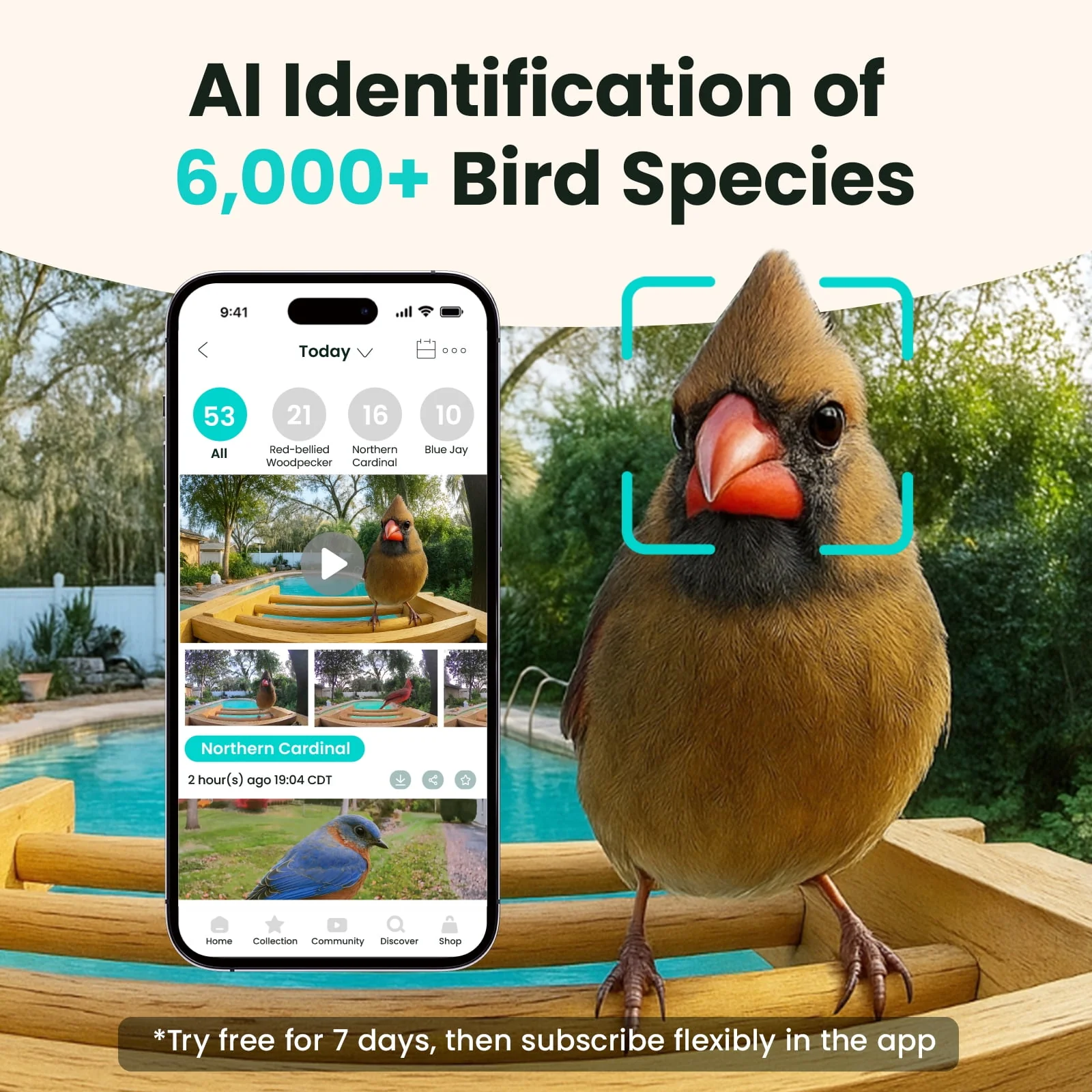 Netvue Bird Feeder Bamboo Wood Solar-Powered Bird Feeder Camera | AI Bird Camera Auto Capture Birds & Notify in Time | Eco-friendly | Ideal Gift for Bird Lovers - Image 3