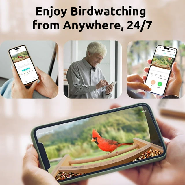 Netvue Bird Feeder Bamboo Wood Solar-Powered Bird Feeder Camera | AI Bird Camera Auto Capture Birds & Notify in Time | Eco-friendly | Ideal Gift for Bird Lovers - Image 6