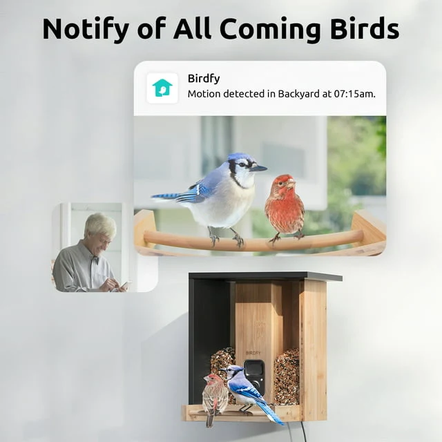Netvue Bird Feeder Bamboo Wood Solar-Powered Bird Feeder Camera | AI Bird Camera Auto Capture Birds & Notify in Time | Eco-friendly | Ideal Gift for Bird Lovers - Image 7