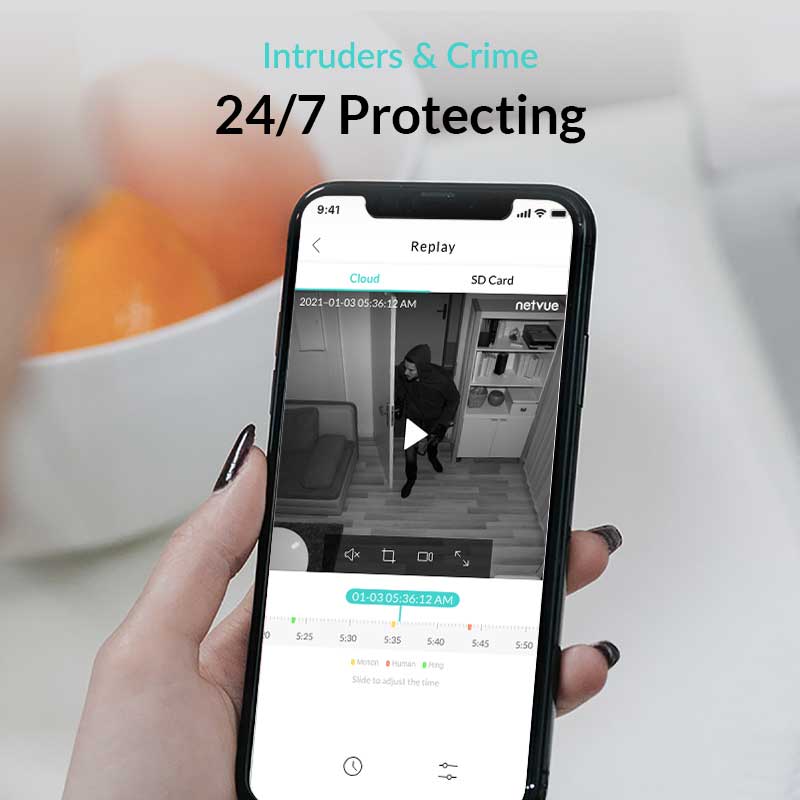Netvue Protect Plan 24/7 Continuous Video Recording Service - Image 3