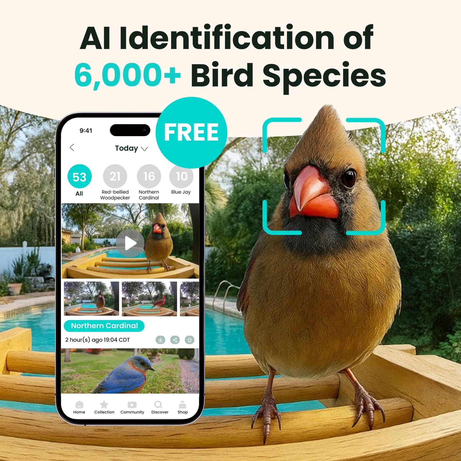 Smart Bamboo Bird Feeder with Camera (Free AI) - Image 3