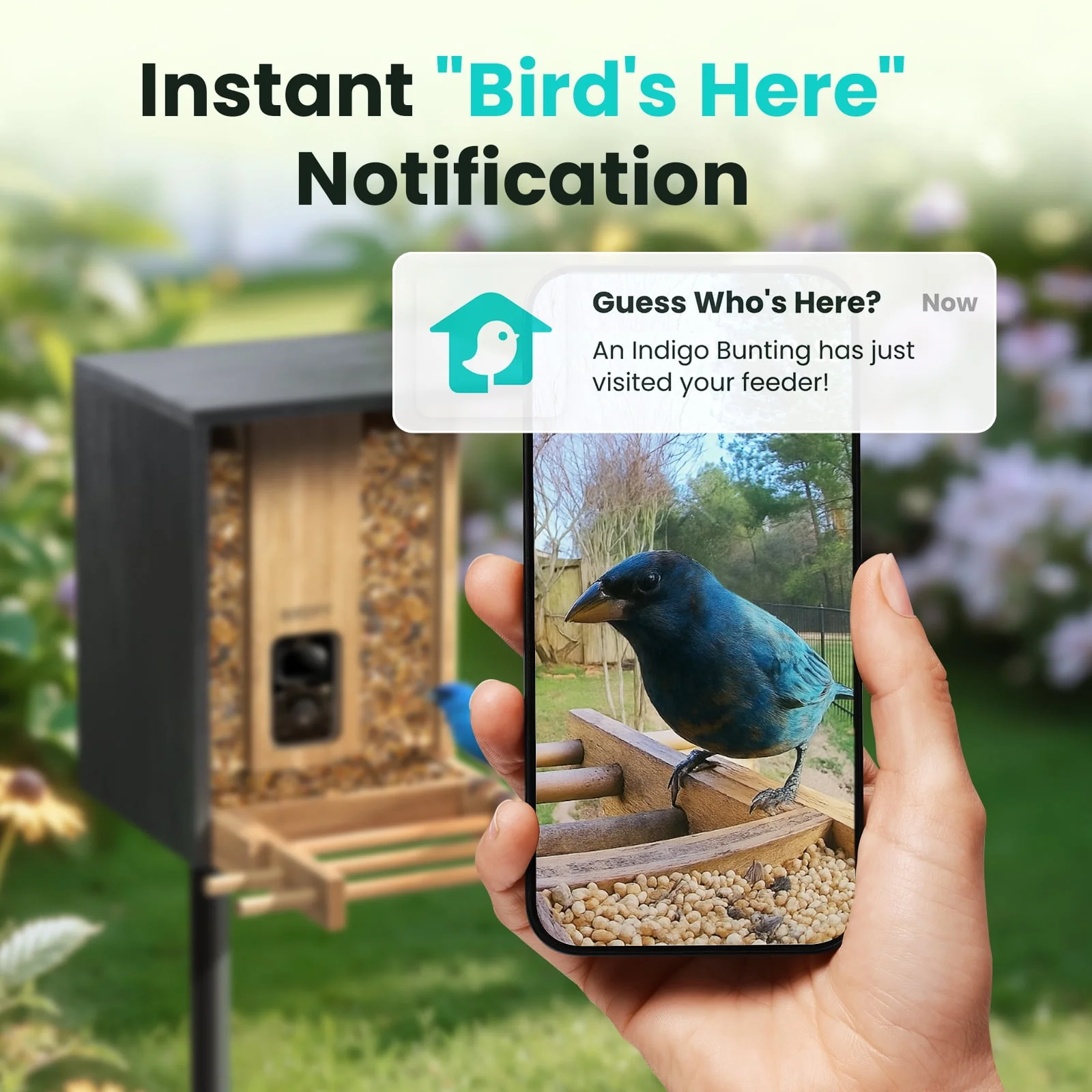 Smart Bamboo Bird Feeder with Camera (Free AI) - Image 4