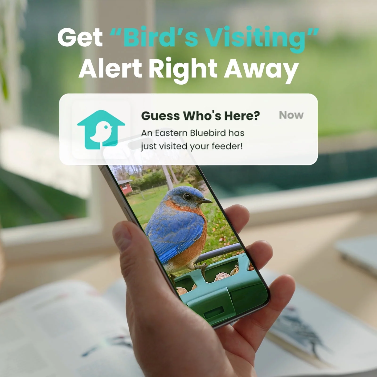 Smart Bird Feeder with Camera, Netvue Birdfy Bird Feeders Camera with AI Identify,Gift for Bird Lover,Birdfy 2 Pro - Image 3