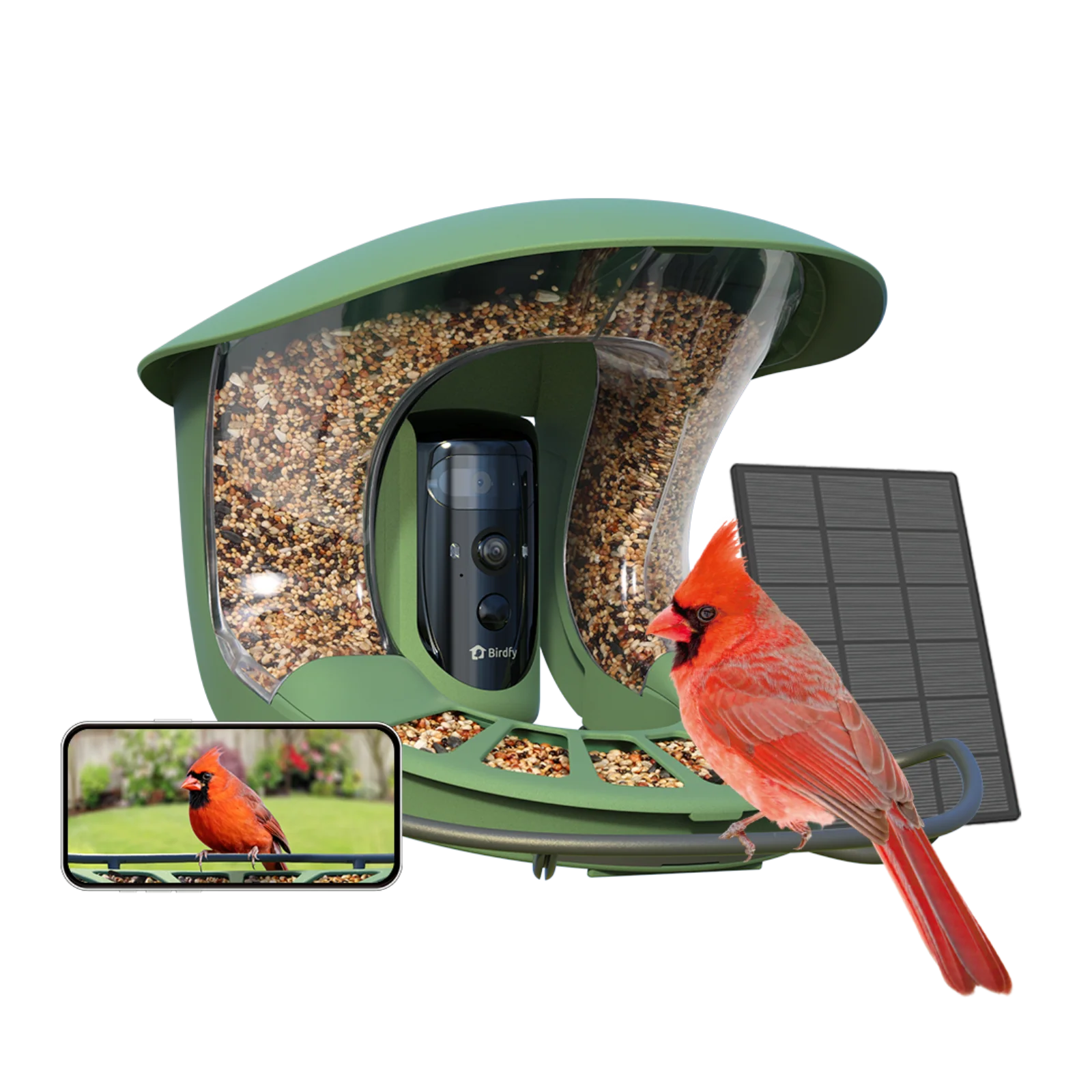 Smart Bird Feeder with Camera, Netvue Birdfy Bird Feeders Camera with AI Identify,Gift for Bird Lover,Birdfy 2 Pro - Image 4