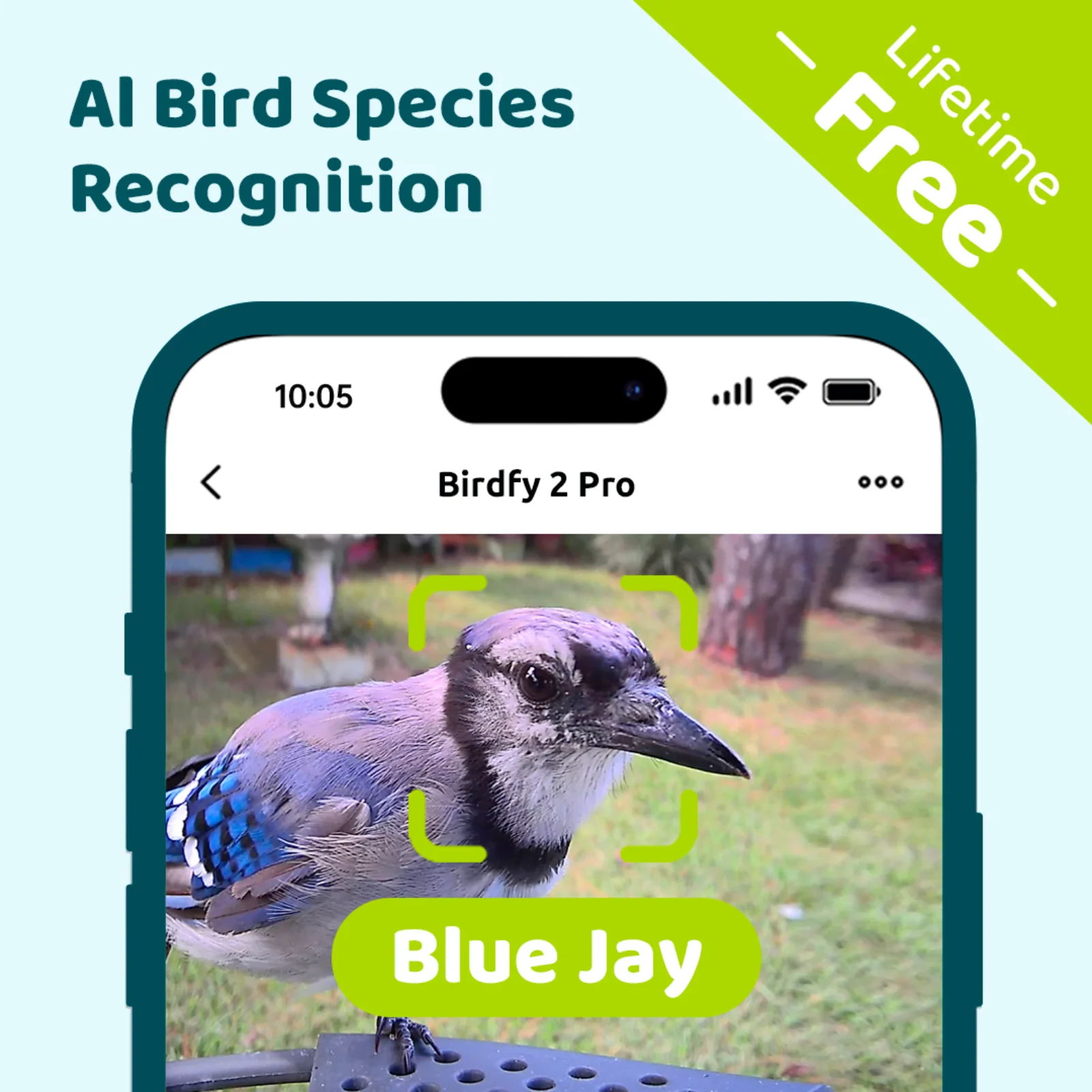 Smart Bird Feeder with Camera, Netvue Birdfy Bird Feeders Camera with AI Identify,Gift for Bird Lover,Birdfy 2 Pro - Image 5