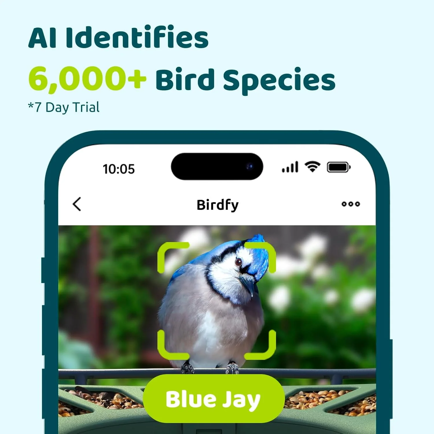 Smart Bird Feeder with Camera, Netvue Birdfy Bird Feeders Camera with AI Identify,Gift for Bird Lover,Birdfy 2 Pro lite - Image 3