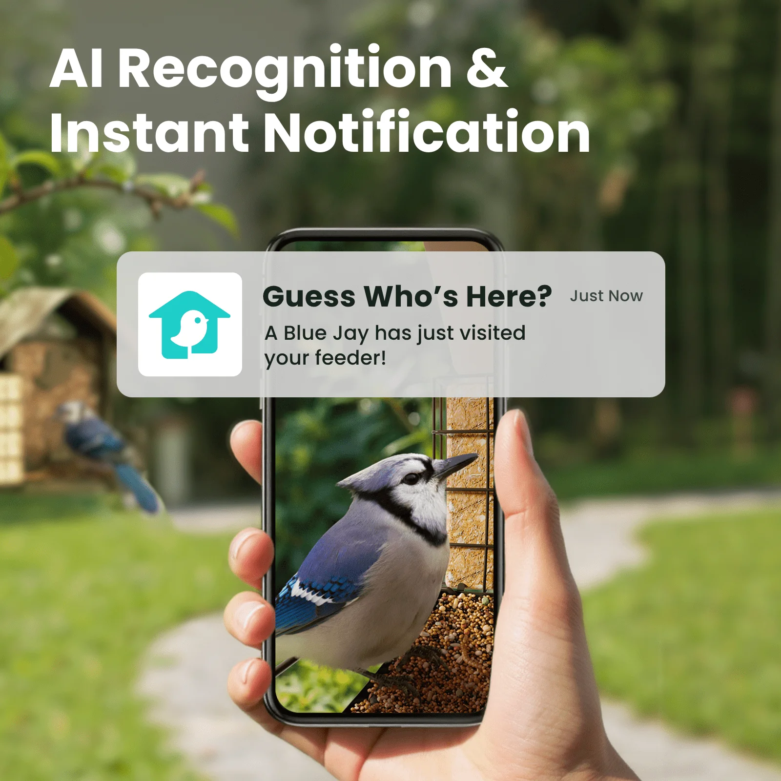 Smart Bird Feeder with Camera, Netvue Birdfy Bird Feeders Camera with AI Identify,Gift for Bird Lover,Metal B - Image 2