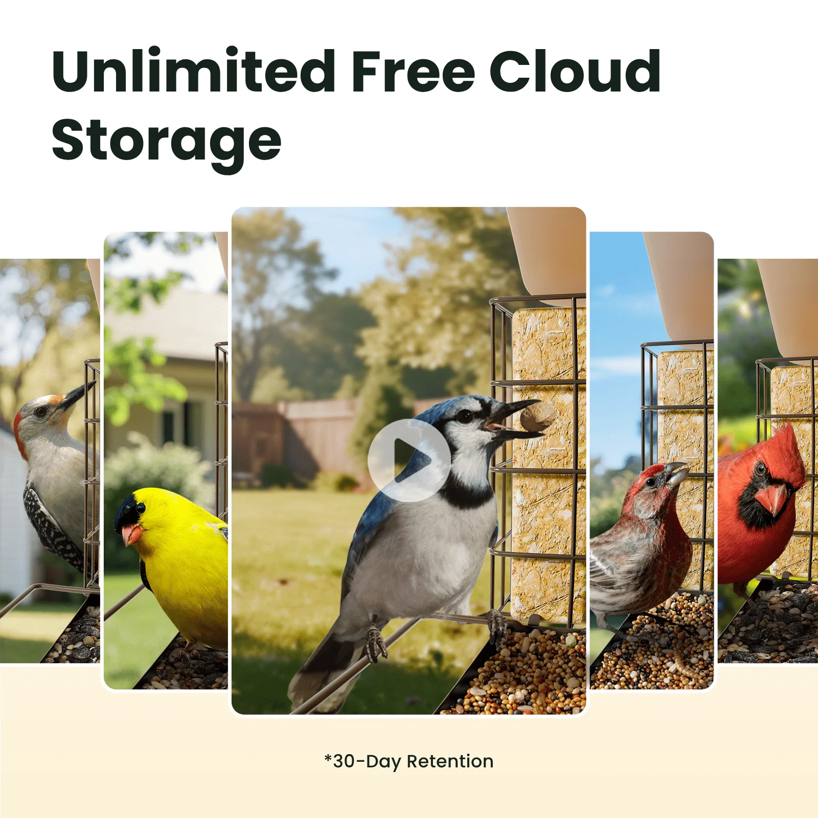 Smart Bird Feeder with Camera, Netvue Birdfy Bird Feeders Camera with AI Identify,Gift for Bird Lover,Metal B - Image 4