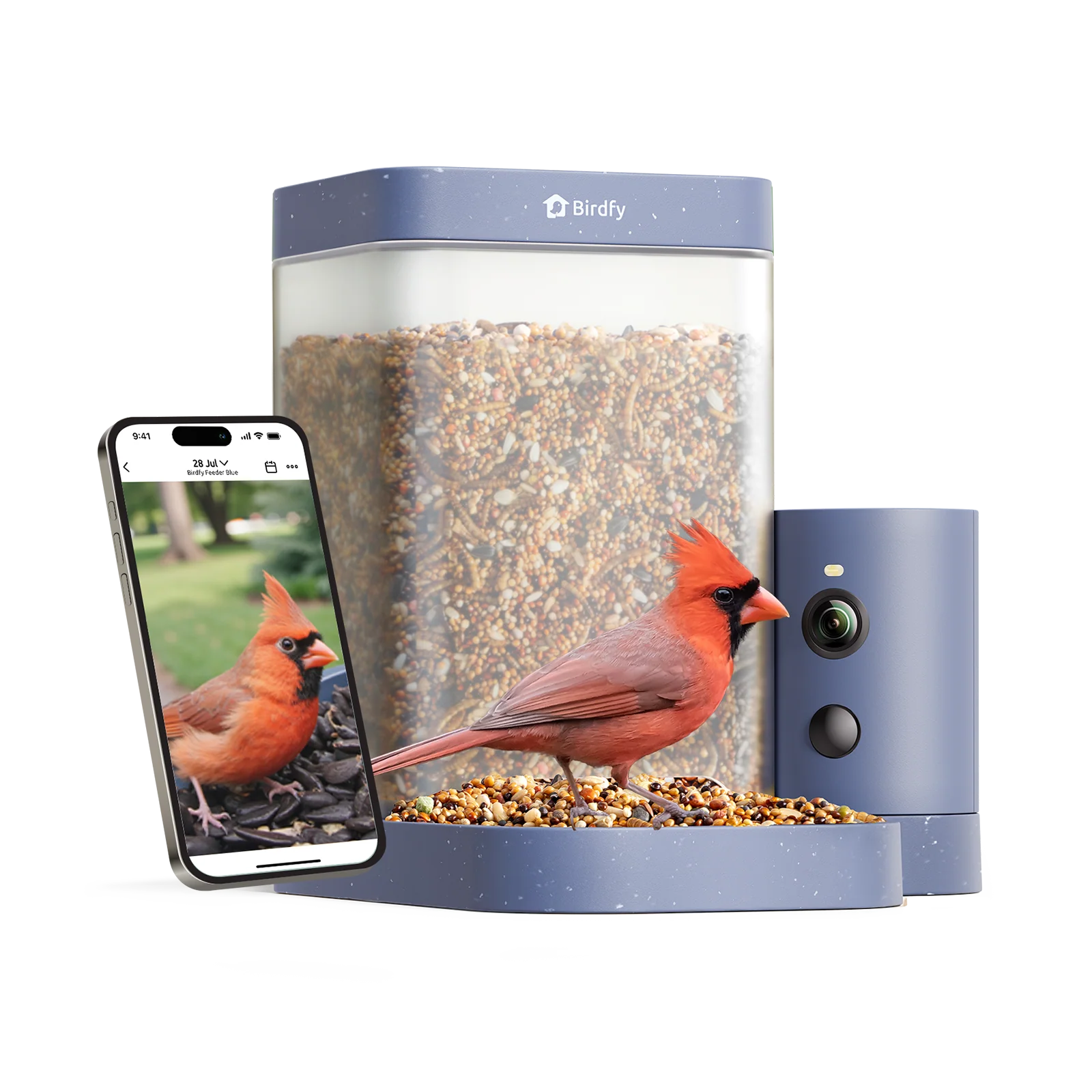 Smart Bird Feeder with Camera, Netvue Birdfy Bird Feeders Camera with AI Identify,Gift for Bird Lover, Rookie