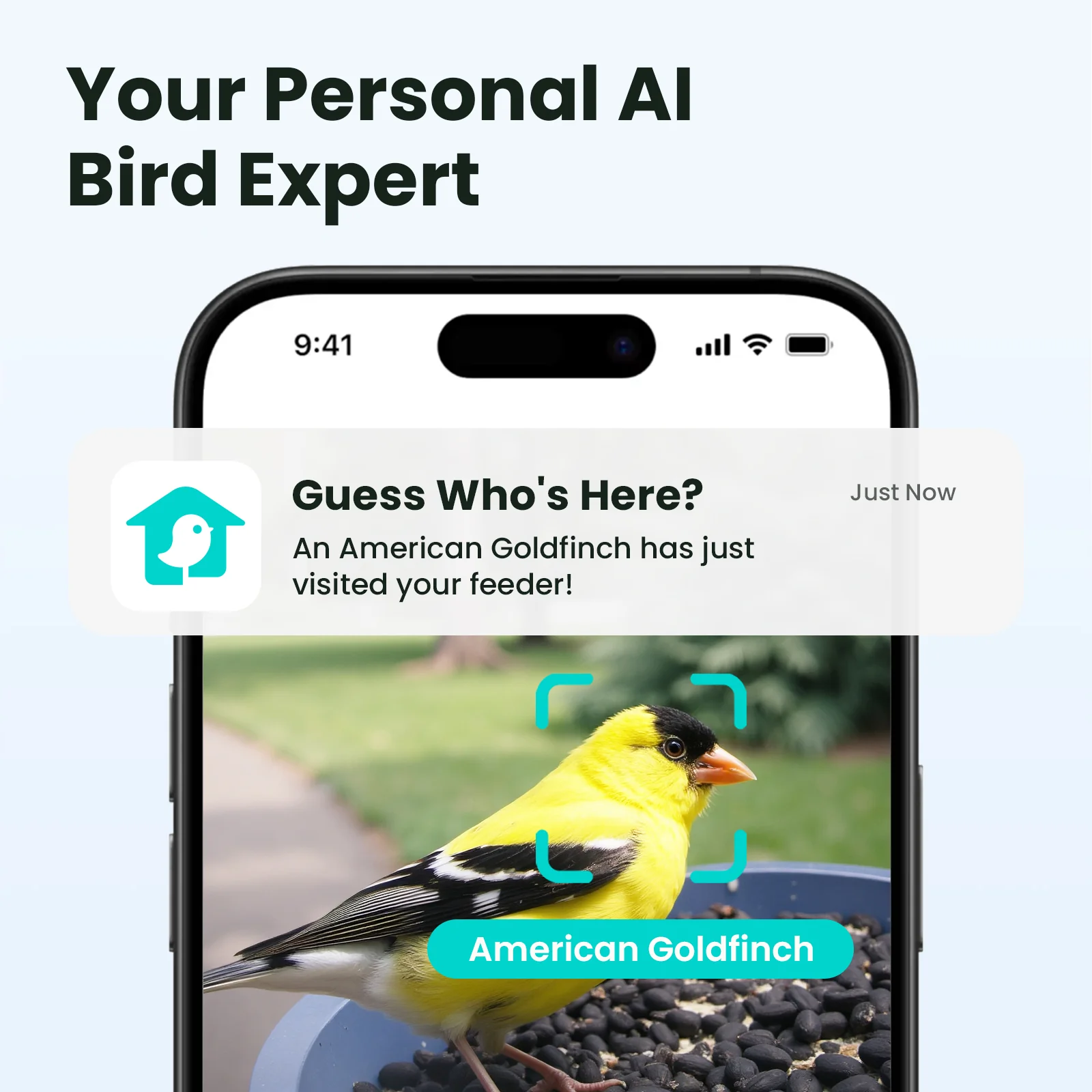 Smart Bird Feeder with Camera, Netvue Birdfy Bird Feeders Camera with AI Identify,Gift for Bird Lover, Rookie - Image 2