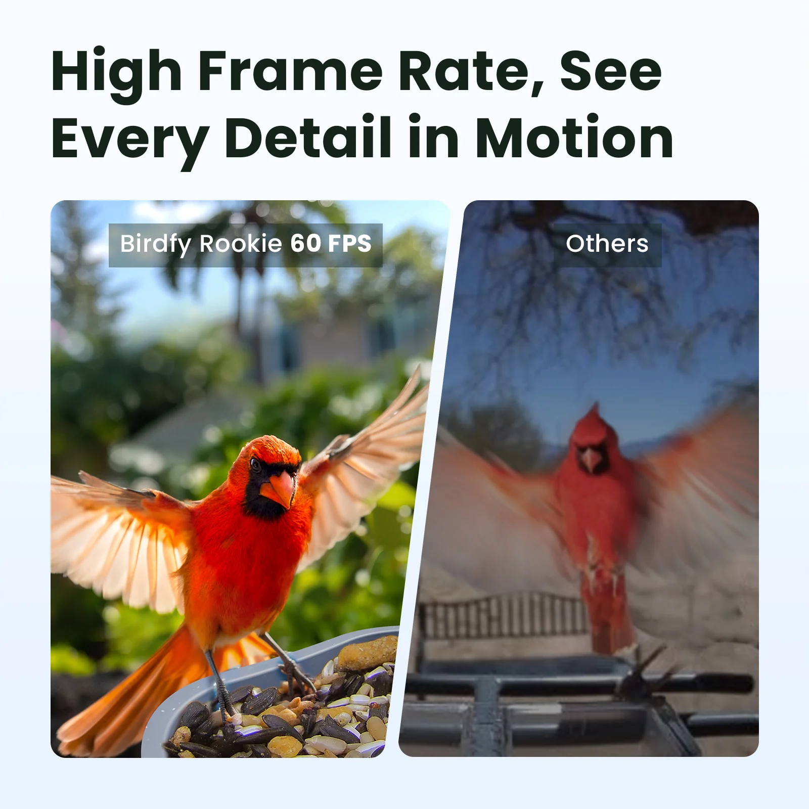 Smart Bird Feeder with Camera, Netvue Birdfy Bird Feeders Camera with AI Identify,Gift for Bird Lover, Rookie - Image 3