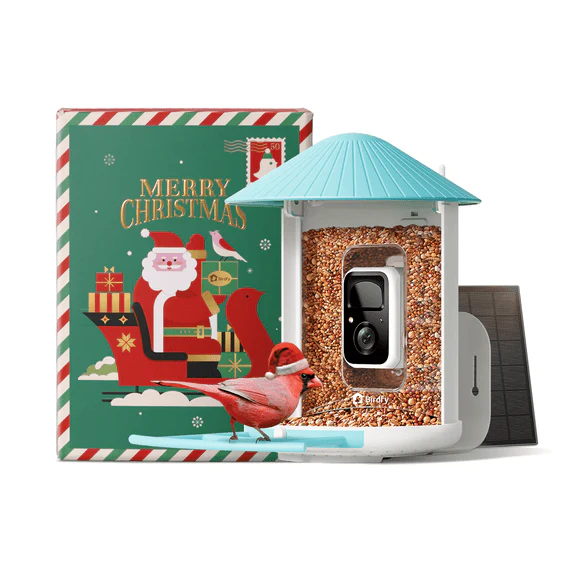 Smart Bird Feeder with Camera, Netvue Birdfy Bird Feeders Camera with AI(by Subscription)  (Christmas Box)
