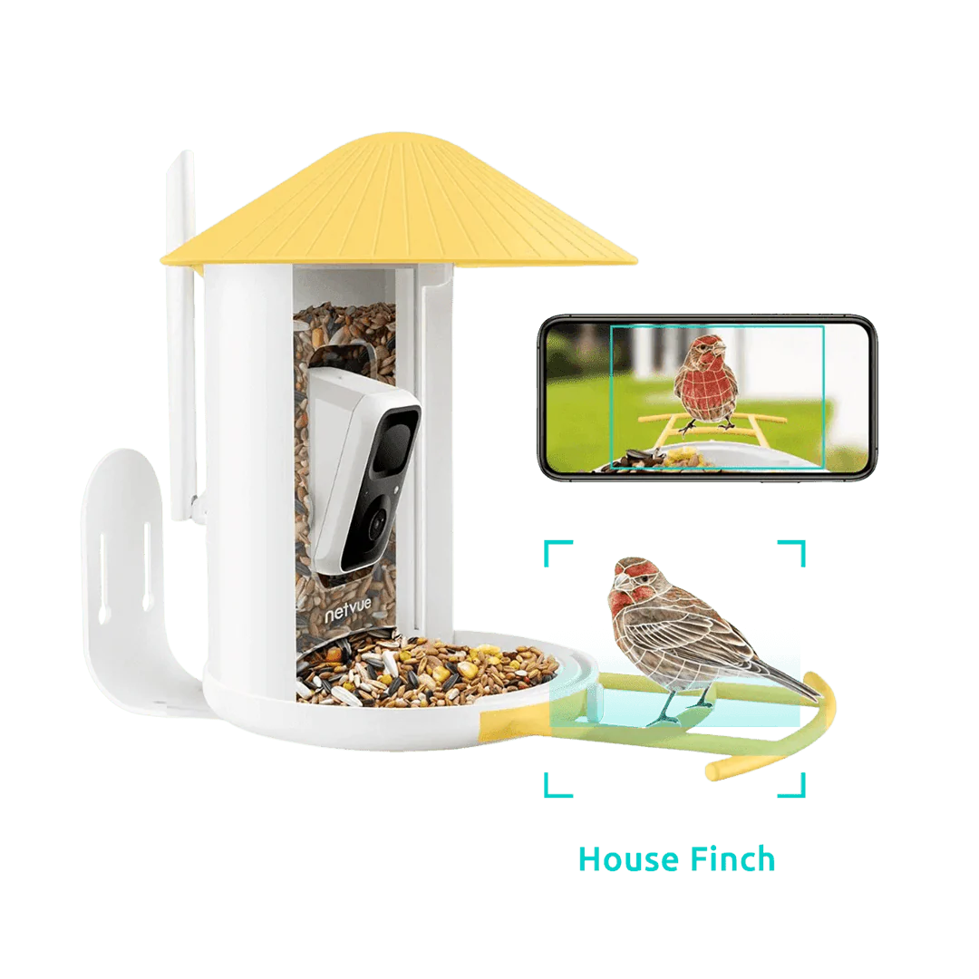 Smart Bird Feeder with Camera, Netvue Birdfy Bird Watching Camera, Auto Capture Bird Videos & Motion Detection, Wireless Camera Ideal Present for Bird Lover