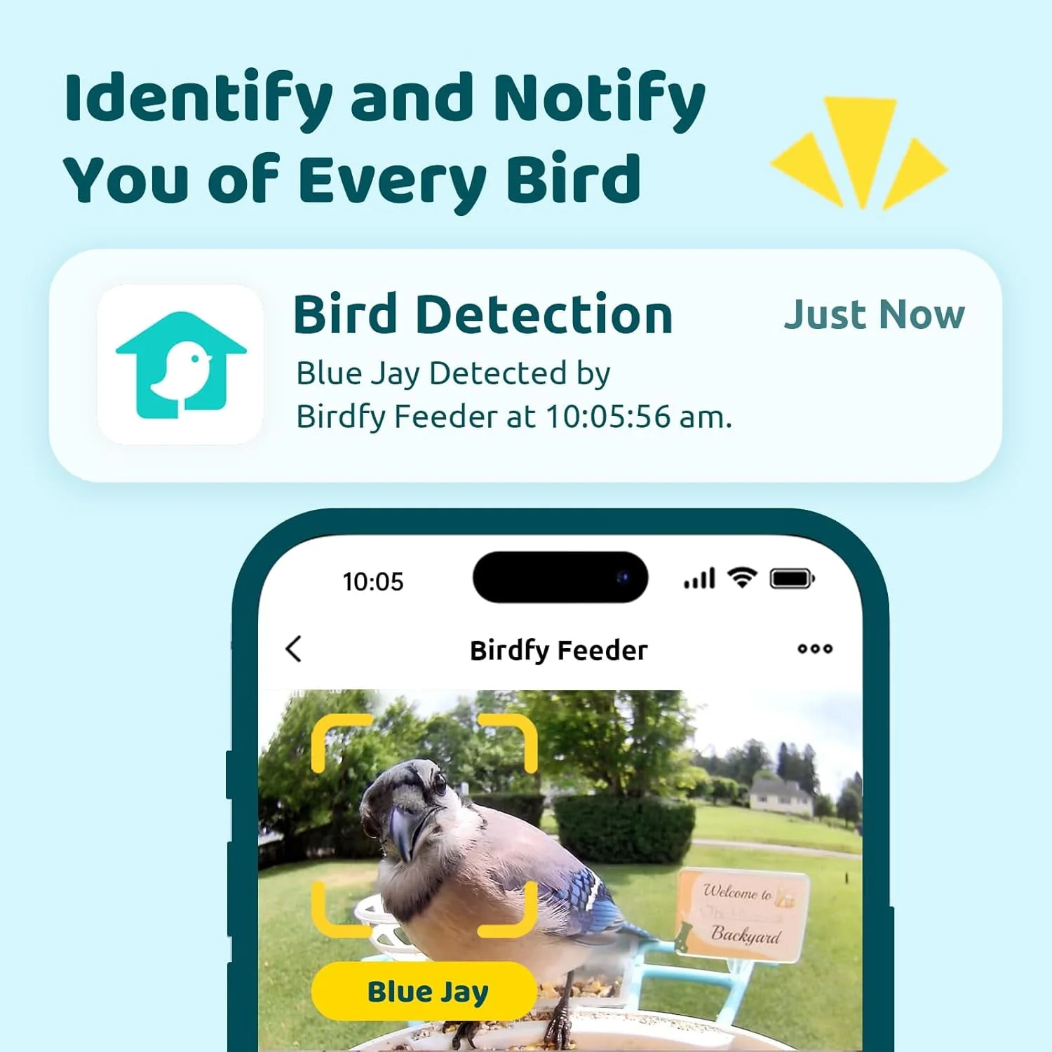 Smart Bird Feeder with Camera, Netvue Birdfy Bird Watching Camera, Auto Capture Bird Videos & Motion Detection, Wireless Camera Ideal Present for Bird Lover - Image 2